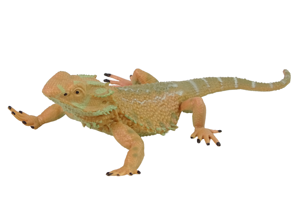 Agama Bärtig Sammlerfigur Tier Wildtier Figur Modell Zoo Spielzeug