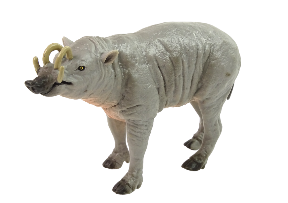 Babirussa Sulaweska Sammelfigur Tier Wildtier Figur Modell Spielzeug